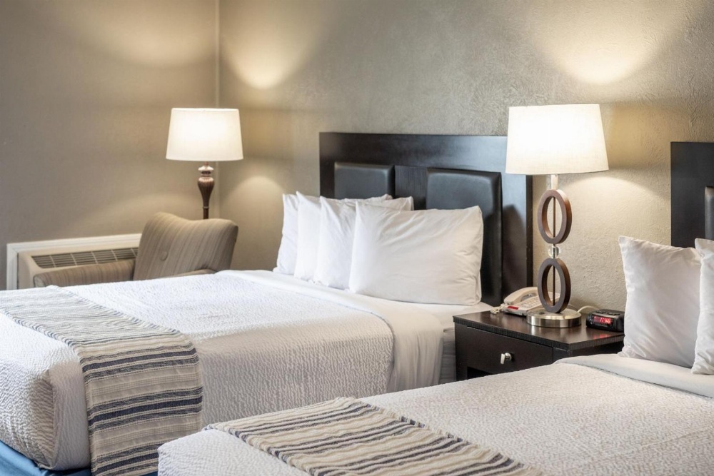 THE BRANSINN Entertainment District Main image